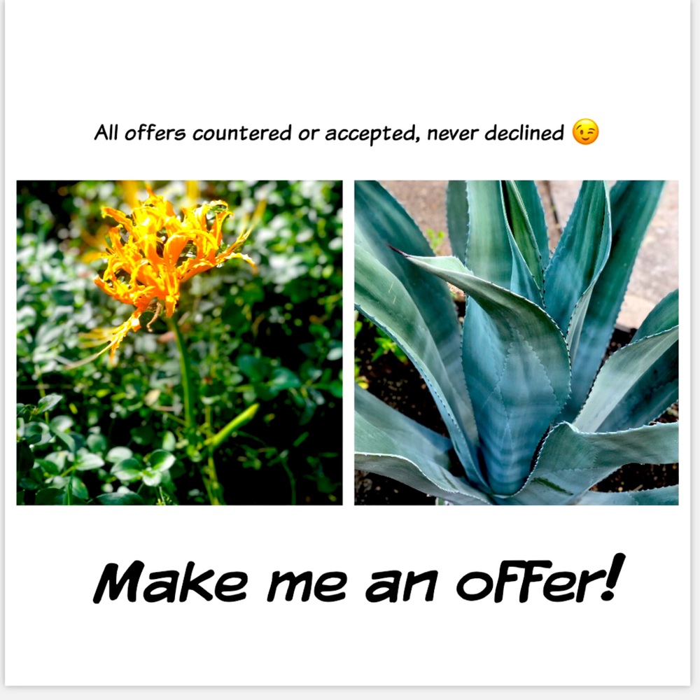 🙂send me an offer 🙂